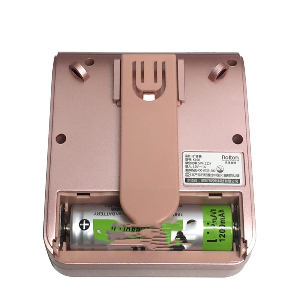 Microfono Portatile, Altoparlante, Mini Amplificatore vocale, Radio, Insegnante, Guida turistica