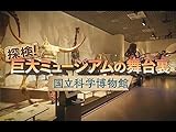 探検！巨大ミュージアムの舞台裏　～国立科学博物館～(NHKオンデマンド)