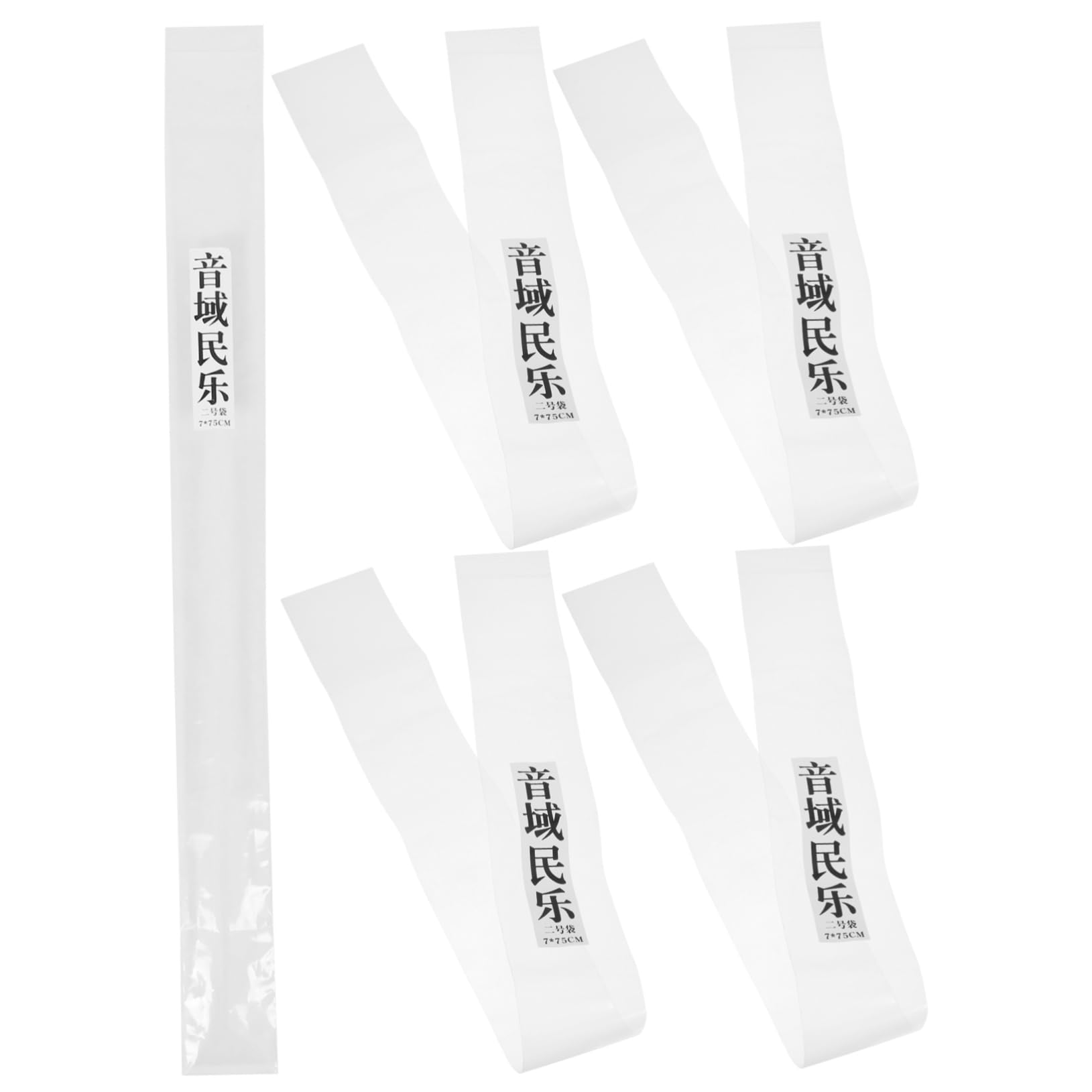 ERINGOGO 5pcs Plastic Flute Storage Bag Vertical Flute Lightweight Portable Music Instrument Case Design