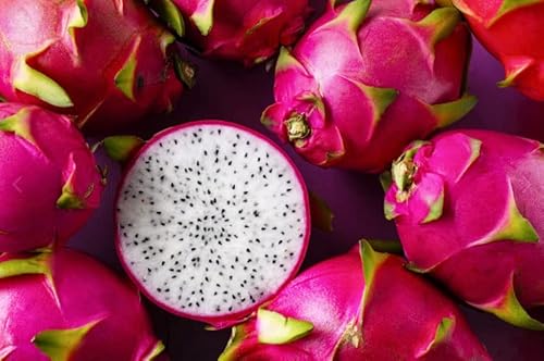 200Pcs-Dragon Fruit Seeds For Planting #TOP3