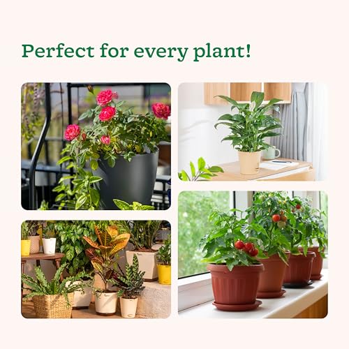 Image of UGAOO Plant Booster for Speed Growth Combo Pack (3 x 50 ml) | Plant Growth Booster Liquid & Organic Plant Booster Liquid Fertilizer | Liquid Fertilizer for Indoor Plants Home Garden & Flower Plants