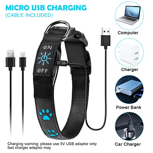 AUAUY Light Up Dog Collar, LED Dog Collar Light USB Rechargeable - Image 3