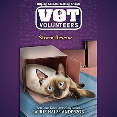 Storm Rescue cover art