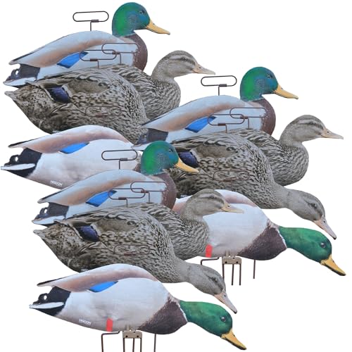 Higdon Outdoors Flats | Mallard Duck Motion Silhouette Decoys for Waterfowl Hunting | Realistic Lightweight Water Resistant Drake & Hen Decoys with Easy Carry Stakes | Fully Flocked | 12pk