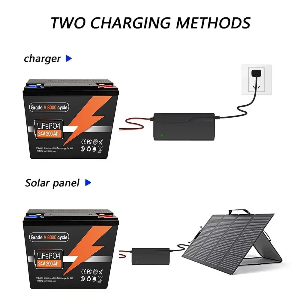 Batteria Grande for Esterni A Ciclo Profondo, Ferro Al Litio LiFePo4 24V 200Ah