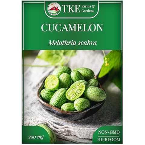 TKE Farms Cucamelon Seeds Cover