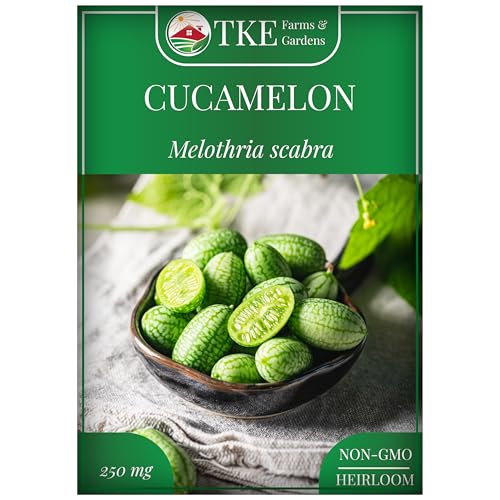 TKE Farms & Gardens - Cucamelon Seeds for Planting, 75 Heirloom Non GMO Seeds, Mexican Sour Gherkin Mouse Melon, Delicious Mini Fruits, Easy to Grow, Includes Instructions, Rare Garden Seeds, 1 Pack