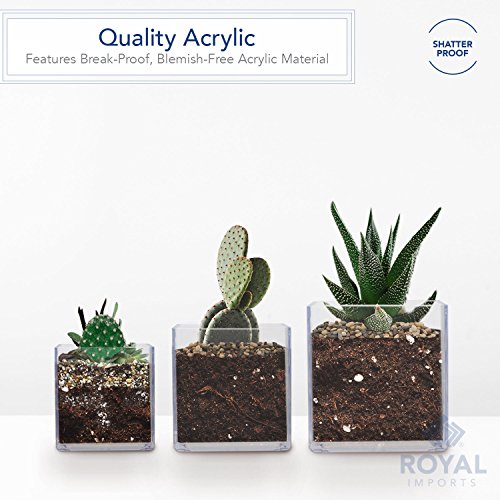 Royal Imports PL444 Flower Acrylic Vases Cubes thumb #4