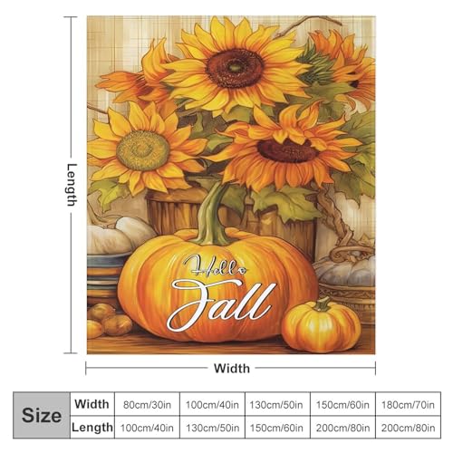 Couverture Hello Fall citrouille 177x203cm plaid chaud léger - 3