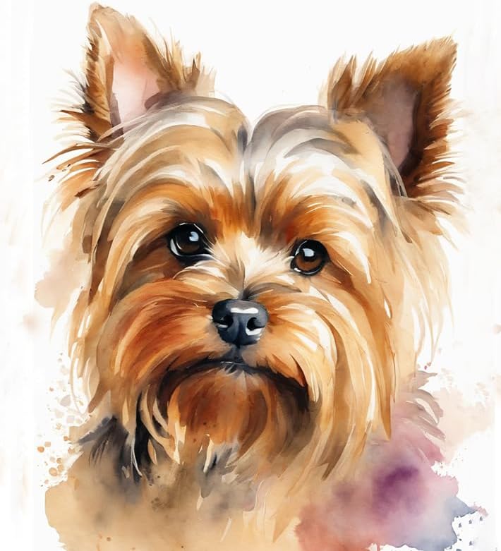 ZMHZMY Paint by Numbers for Adults Yorkshire Terrier Painting by Number for Adults DIY Digital Painting for Beginners Wall Decor Drawing Art Decor,40x50cm No Frame