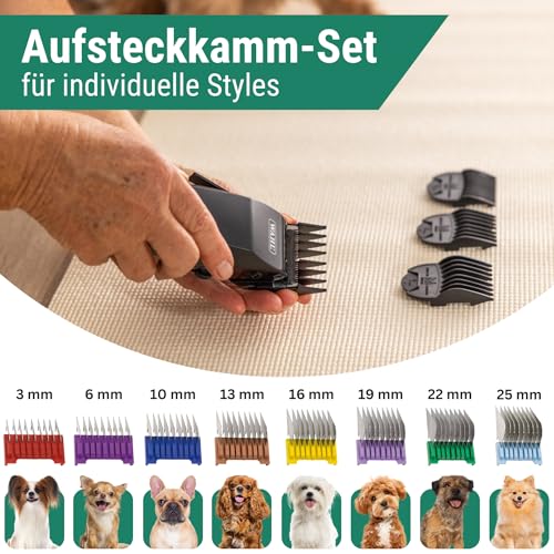 Agrarzone Edition Wahl 1400 Schermaschine Hund mit Aufsteckkamm-Set - Leise Tierhaarschneidemaschine Moser für kleine Hunde wie Yorkshire Terrier - Ergonomisch & langlebig