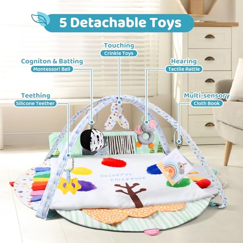Sensory Baby Play Mat, Montessori Inspired Play Gym Mat for Infants, Machine Washable Activity Mat, Christmas Birthday Gifts for Toddlers 0-6-12-18 Months