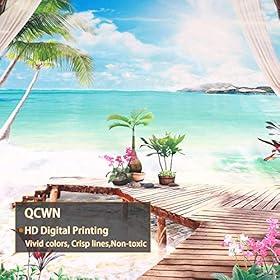 QCWN Beach Decor Tapestry, Ocean Sea Tropical Island Palm Tree Scenic View From Balcony Summer Tropical Scenery Wall… 51iWcaIN+vL. SS280
