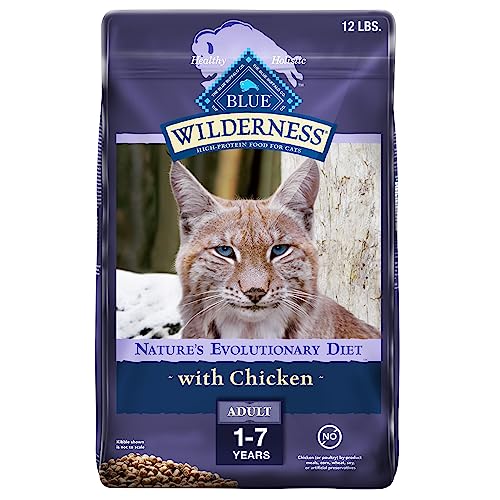 Best Dry Food For Bengal Cats 2023