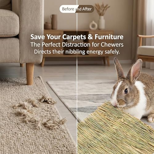 Sukh Natural Rabbit Grass Mats - Woven Hay Bed Cage Mats, Pet Bedding & Cooling Nesting Toys for Bunny, Hamster, Chinchilla, Guinea Pig and Other Small Animals 2PCS - Image 3
