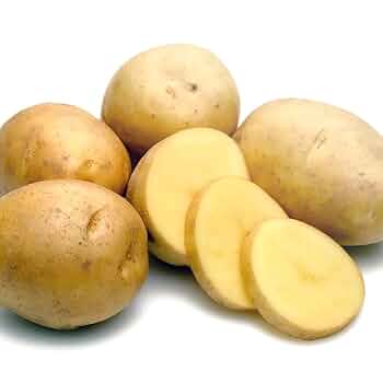 馬鈴薯デジマSサイズ8kg 馬鈴薯デジマSサイズ8kg 自然栽培】出島（デジマ）じゃがいも 20