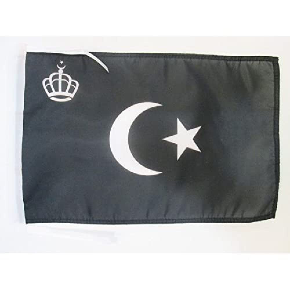 Iran Old Persia Flag 18'' x 12'' cords - Persian SMALL flags 30 x 45cm - Banner 18x12 in - AZ FLAG — view 473