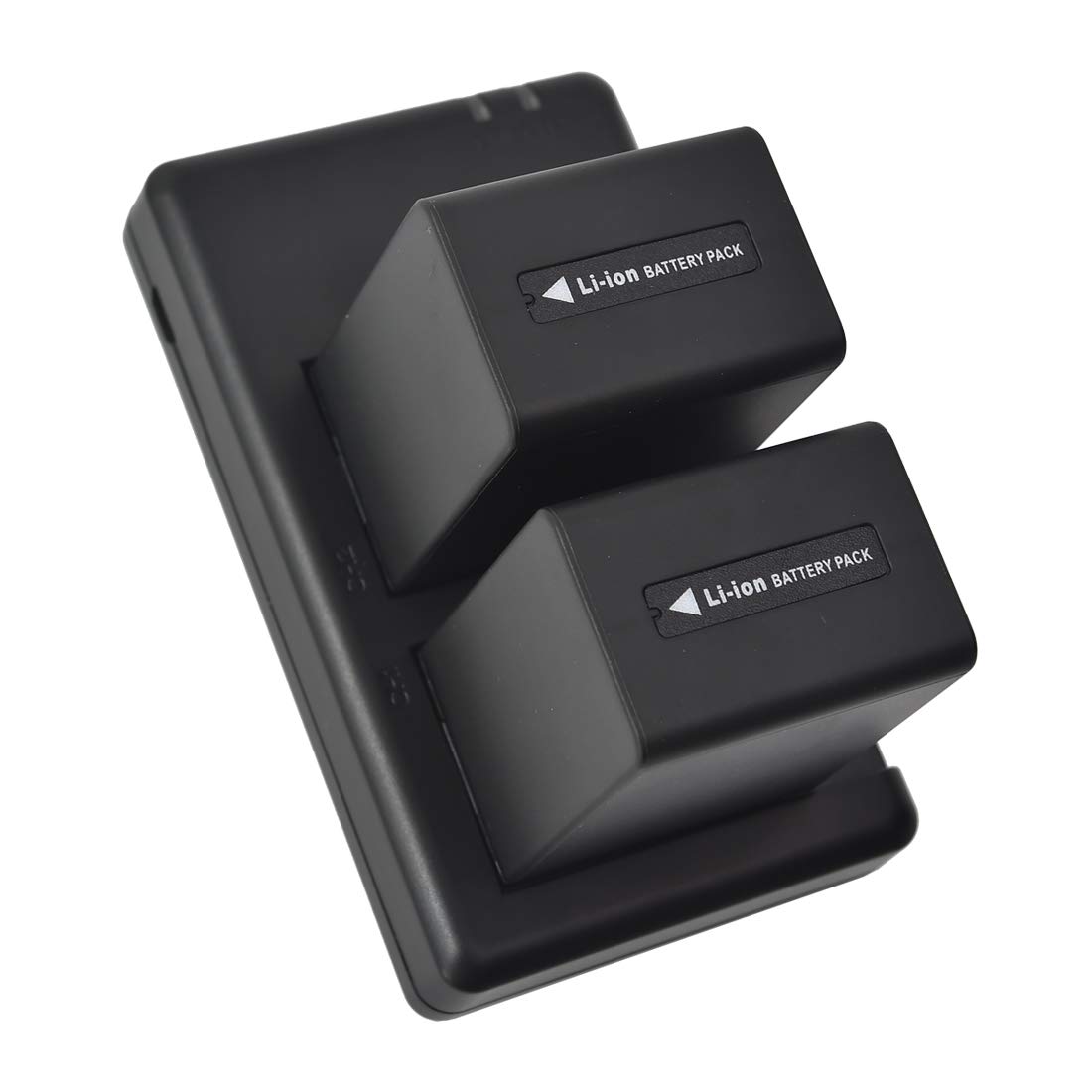 DSTE Lot de 2 Batteries de Rechange NP-FV100 + Double Chargeur USB Compatible avec Sony HDR-CX230 HDR-CX260V HDR-CX290 HDR-CX300 HDR-CX305 HDR-CX350V HDR-CX360V HDR-CX380
