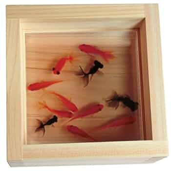 アクリル 3D 金魚アート 咲 プレゼント ギフト フィギュア 動物 生き物 51iWk-UHWML._UF350,350_QL50_.jpg