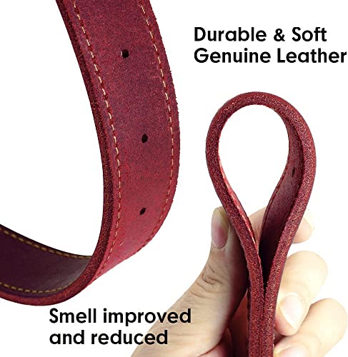 SLZZ Collare per cani personalizzato