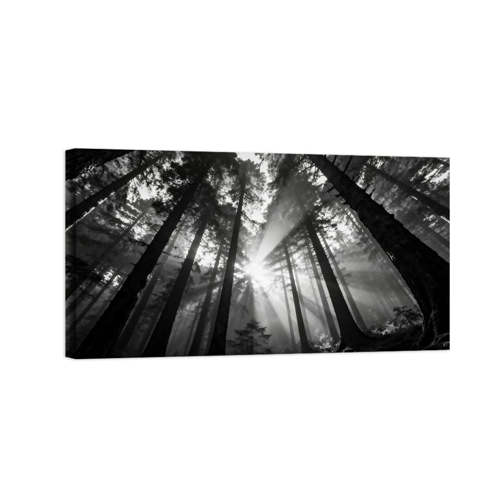 OZPWBVY Black and White Landscape Print Painting-Forest Tree Sunshine 9-Minimalist Canvas Wall Art Picture for Home Ready to Hang 24x42in 60x108cm Wrapped Canvas