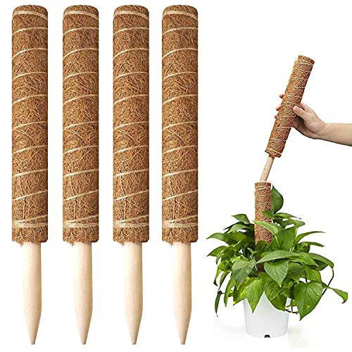 moss plant pole tall moss pole for potted plants bendable moss pole monstera the blooming jungle moss pole for monstera large moss pole for plants monstera moss totem pole plant moss pole for plants