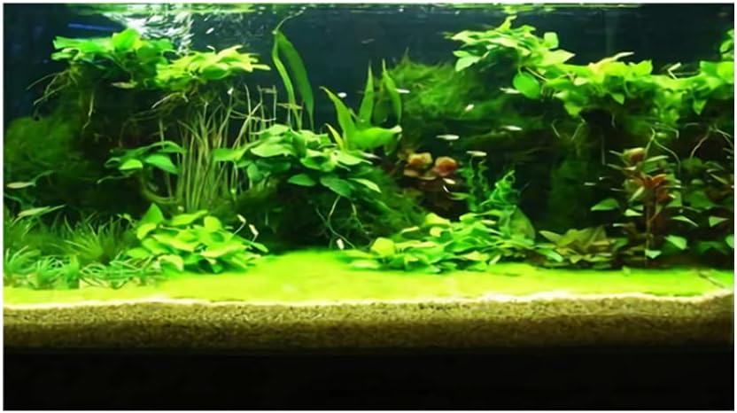 3D Prints Fish Tank Background Aquarium Underwater Backdrop Image Decor Poster for Fish Tank Wallpaper