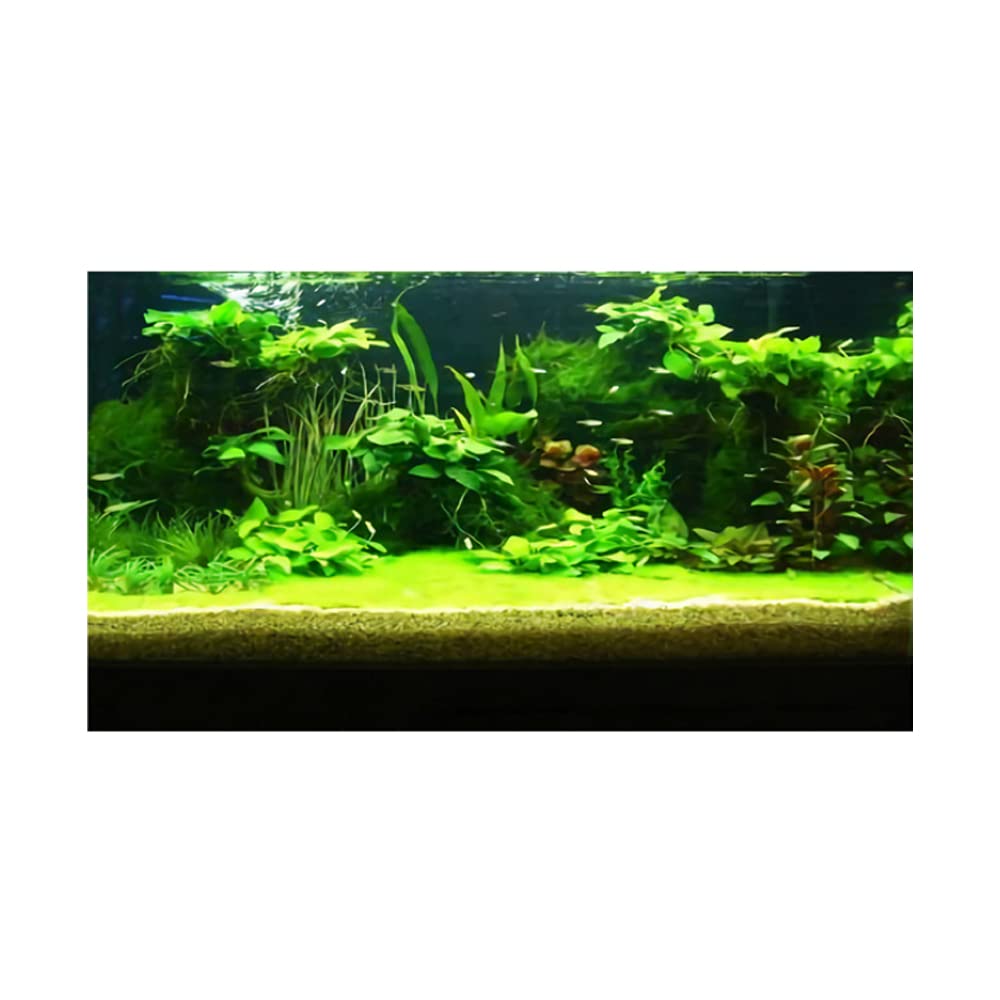 3D Prints Fish Tank Background Aquarium Underwater Backdrop Image Decor Poster for Fish Tank Wallpaper