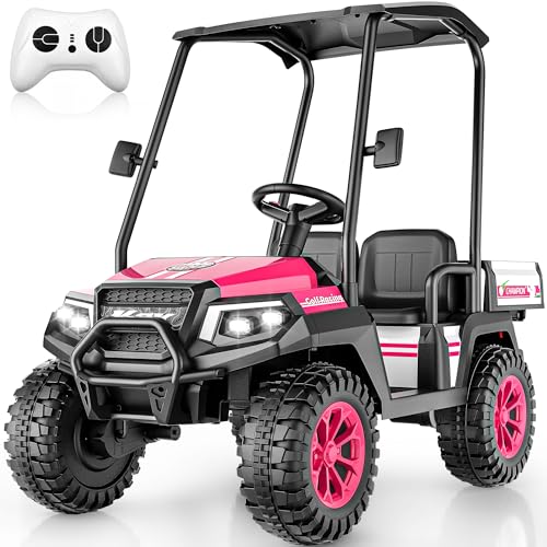 24V Kids Golf Cart w/Detachable Awning–4WD 2 Seater Ride on