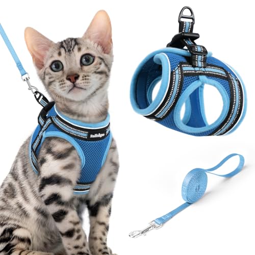 Image of rabbitgoo Cat Harness and Leash Set, Step-in Soft Vest, Blue & Light Blue