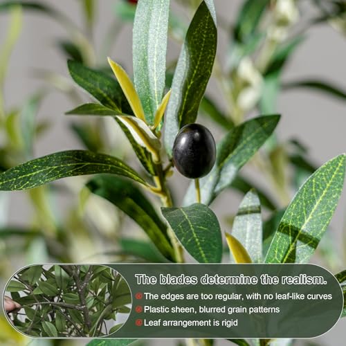 5FT Faux Olive Tree with White Pot & Moss, Artificial Olive Tree Indoor Outdoor, PE/PVC Leaves, Realistic Resin Trunk Large Fake Olive Tree Artificial Plants Indoor, Faux Plants Indoor for Home Decor - Image 4