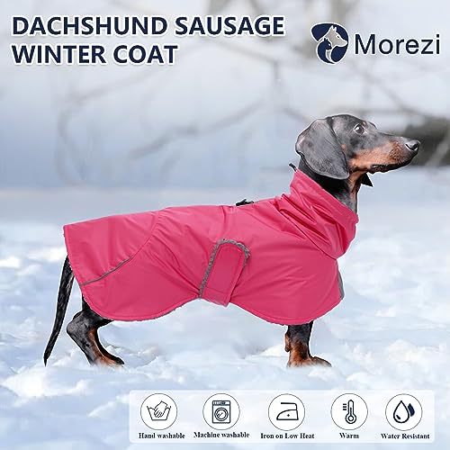 Dachshund Coats Waterproof, Perfect for Dachshunds Sausage, Weiner Dog Winter Coat with Padded Fleece - Image 2