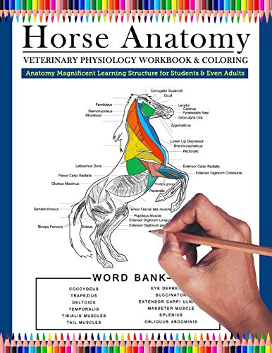 Horse Anatomy Veterinary Physiology Workbook and Coloring | Anatomy Magnificent Learning Structure f Francais PDF