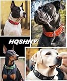 Hundehalsband Leder, 5 cm Breites Robustes Echtes Lederhalsband, Handgefertigt, Weich und Luxuriös, Auffällige Beste Wahl für Große und Mittelgroße Hunderassen, Gold-Schwarz M