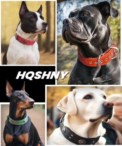 Hundehalsband Leder, 5 cm Breites Robustes Echtes Lederhalsband, Handgefertigt, Weich und Luxuriös, Auffällige Beste Wahl für Große und Mittelgroße Hunderassen, Gold-Schwarz M