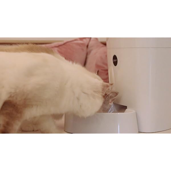 isYoung Automatic Cat Feeder, 4L Smart Pet Feeder for Cat & Dog 6