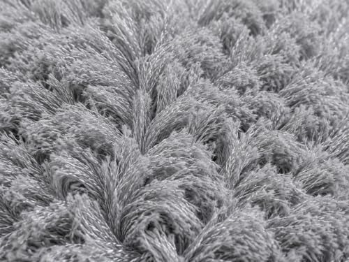 Image of Shaggy Carpet 6x9 Ft for Living Room & Bedroom (Silver)