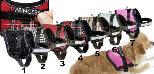 Karlie Teeny Weeny Geschirr B: 15 mm Br um: 36 - 46 cm S schwarz