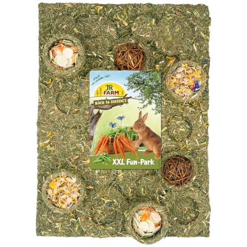 JR Farm 'Back to Instinct' XXL Fun-Park 430 g