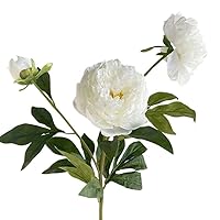 Amazon｜家の装飾用の模擬牡丹の花 - リアルな牡丹の花 3 個