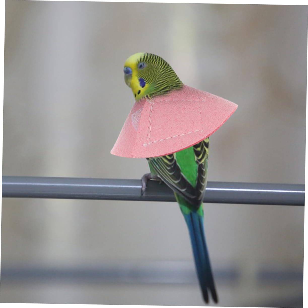 COSMEVIVI 2pcs Pet Neck Protector Parrot Bite Collar Bird Neck Cone Comfortable Safe Bird Care