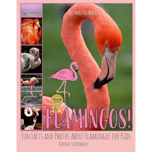 Flamingos! Fun Facts and Photos about Flamingos for Kids by Joanna Slodownik, This Amazing World Press episode artwork