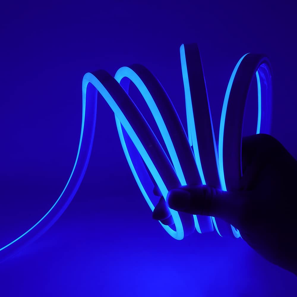 Striscia LED Neon 2835 Tubo LED Flessibile Impermeabile Luminosa 220V IP65 120 LED/M Corda Stringa Lampada con Alimentatore di rete e Dimmerazione manuale Controller,per Camera da Letto (8m, Blu)