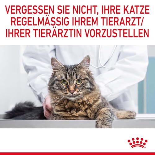 ROYAL CANIN Dental Care Katzentrockennahrung – 2 x 0.4 kg