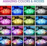 Zoom IMG-1 frogetu 10m striscia led rgb Zoom IMG-1 frogetu 10m striscia led rgb