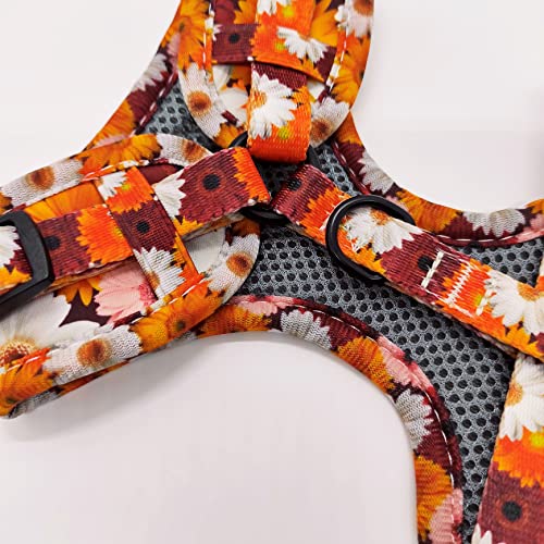 Hundegeschirr kleine Hunde Softgeschirr Brustgeschirr verstellbar Blumen floral Hundegeschirr Neopren gepolstert Geschirr Hund rot bunt (XS: Hals 29-36 cm, Brust 36-48 cm)