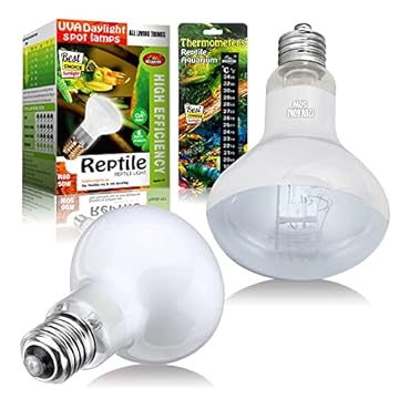 best heat lamp for leopard gecko