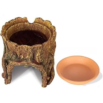 Amazon | Ladruph 爬虫類 シェルター ウェットシェルター 隠れ家