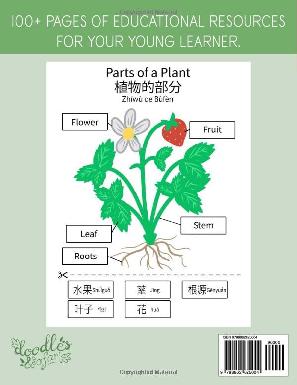Montessori Mandarin Chinese Workbook: Bilingual Language Materials for Kids Ages 3+ | Science, Social Studies, Geography, Art and Handwriting Practice ... Chinese (Learning Mandarin Chinese Workbooks) - Image 2