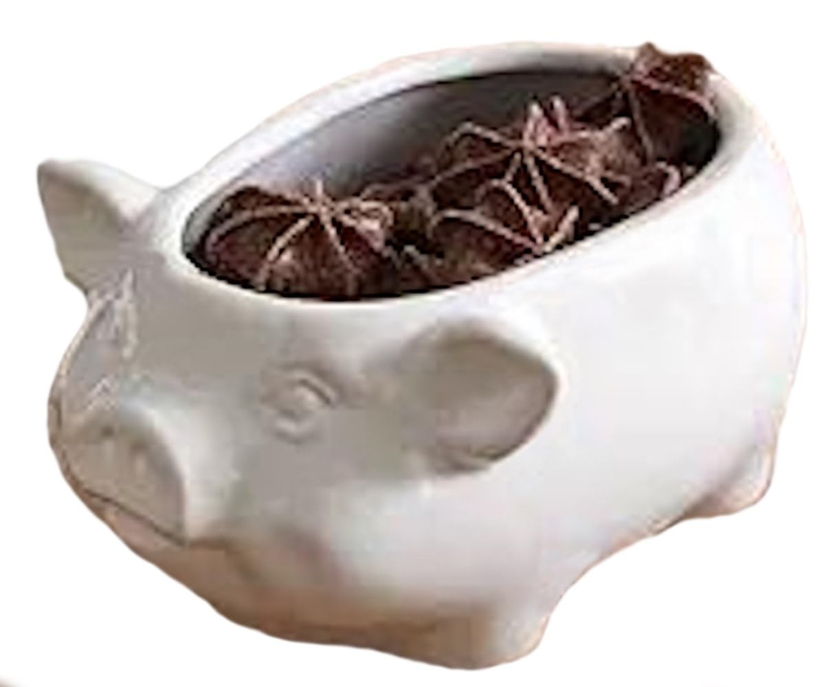 CTW Home Collection Ceramic Pig Candy Bowl - 2.75" Height Farmhouse Treats Server - View #3